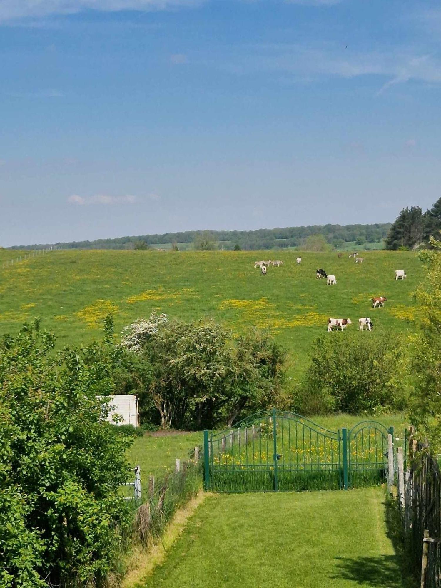 Gites Paille-Foin Cerfontaine Bagian luar foto