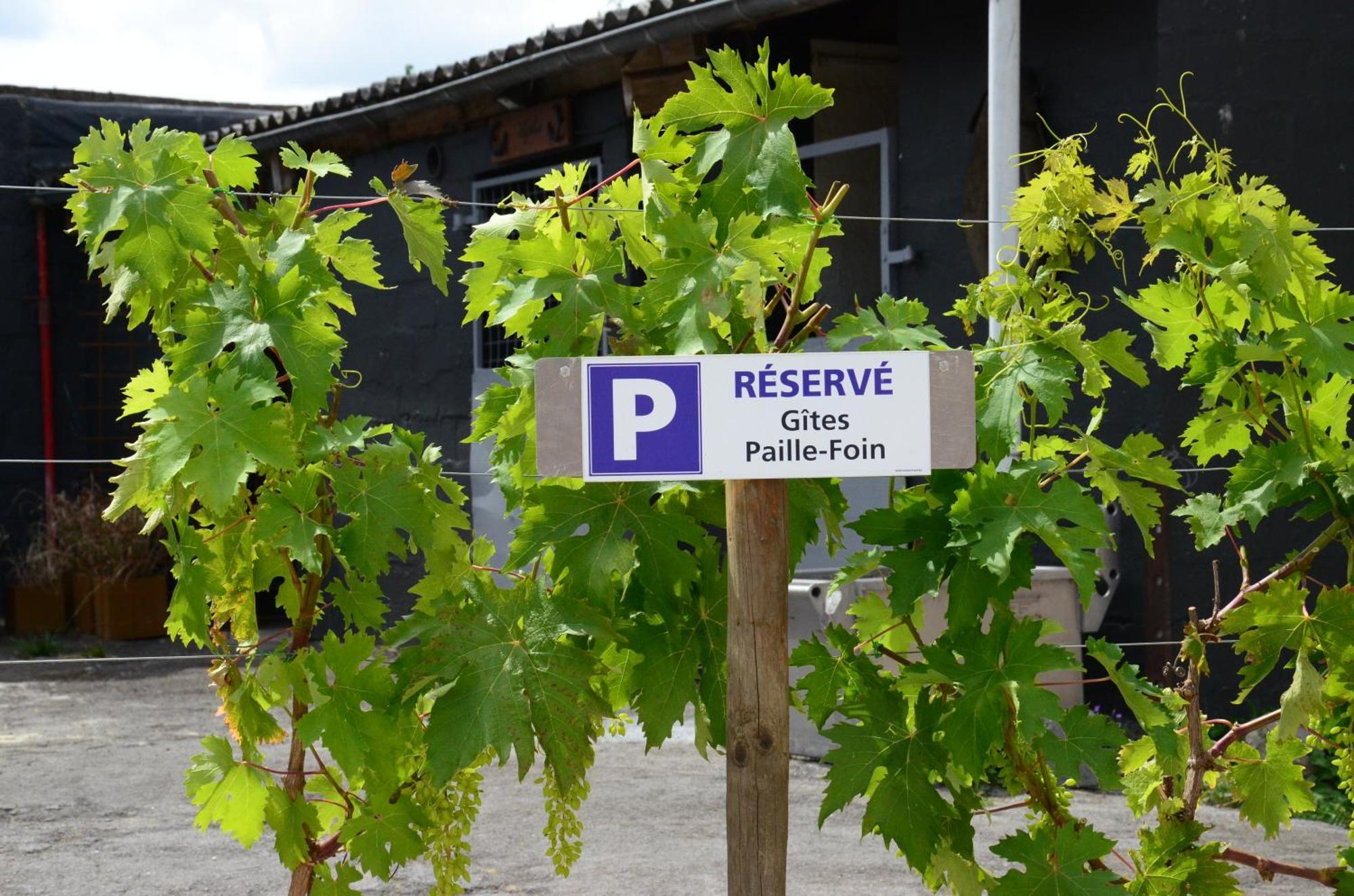 Gites Paille-Foin Cerfontaine Bagian luar foto